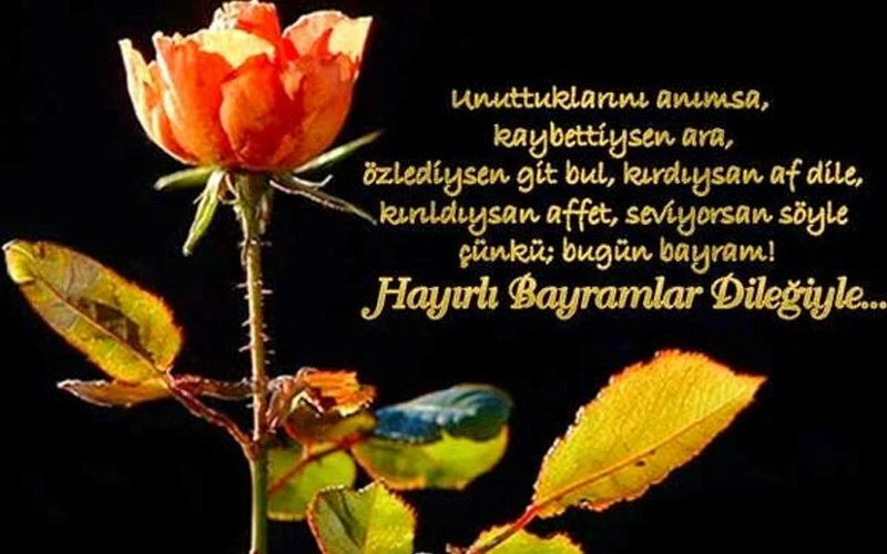 En güzel KURBAN BAYRAMI MESAJLARI resimli 2022: Whatsapp, İnstagram ve Facebook için resimli, anlamlı, değişik, dualı, sözlü bayram kutlama mesajları ve sözleri