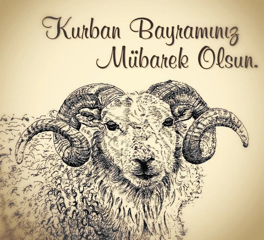 En güzel KURBAN BAYRAMI MESAJLARI resimli 2022: Whatsapp, İnstagram ve Facebook için resimli, anlamlı, değişik, dualı, sözlü bayram kutlama mesajları ve sözleri