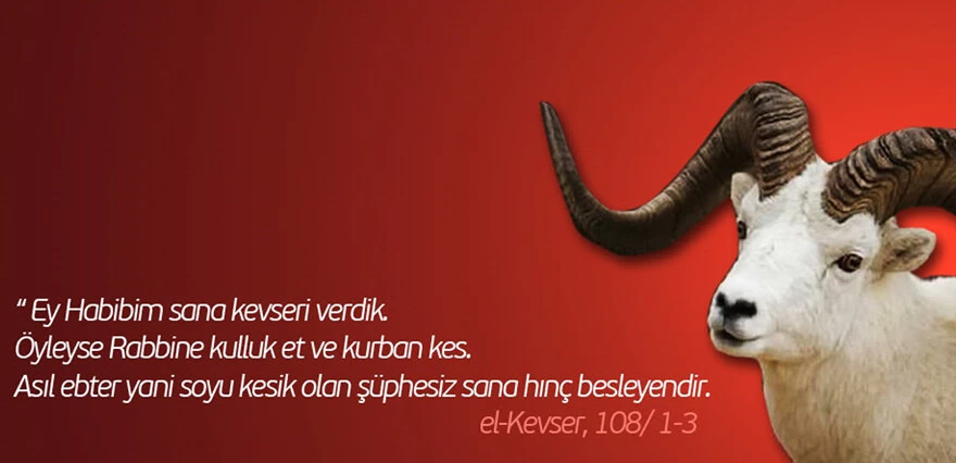 En güzel KURBAN BAYRAMI MESAJLARI resimli 2022: Whatsapp, İnstagram ve Facebook için resimli, anlamlı, değişik, dualı, sözlü bayram kutlama mesajları ve sözleri