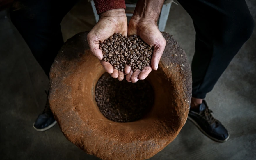 Günde iki kere tüketerek ağız kokusundan kurtulun! Mideyi çalıştıran, hazmı kolaylaştıran içecek!