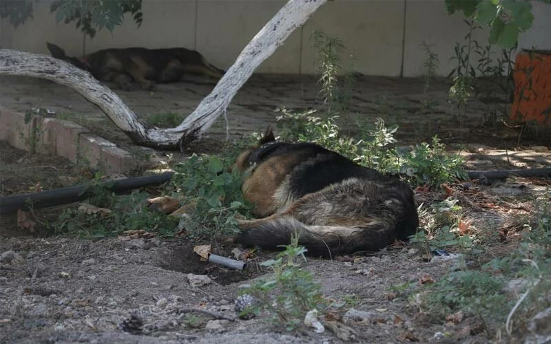 2 çocuk babası <a href=