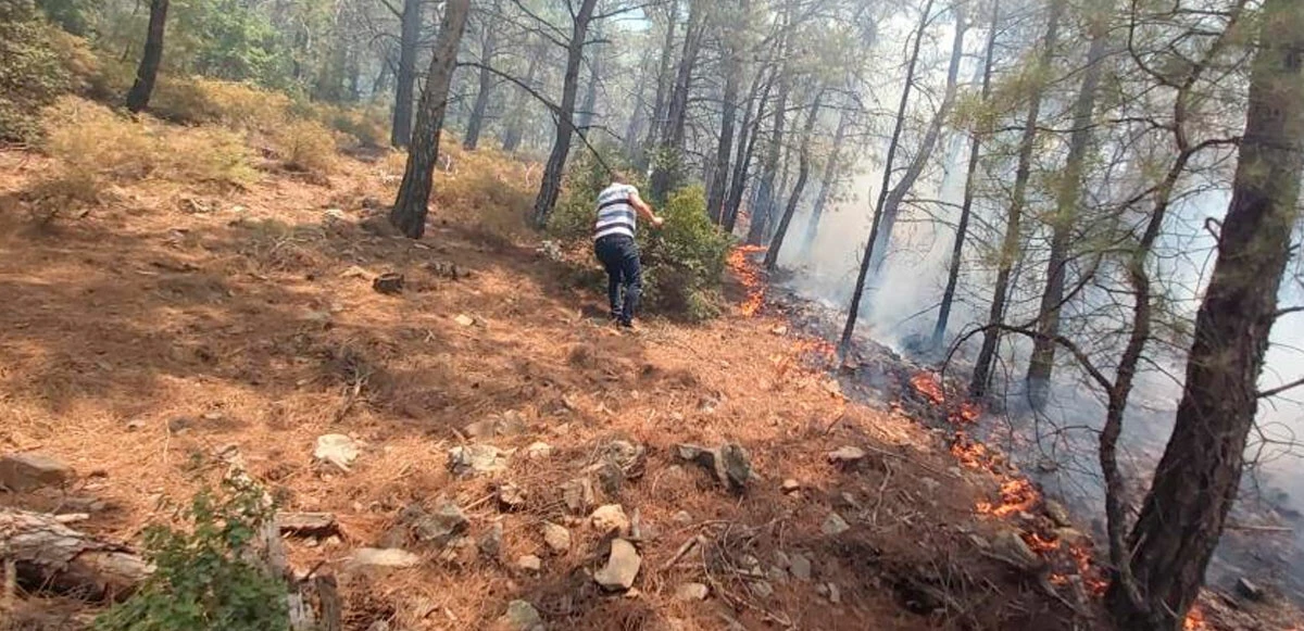 Son dakika! Muğla Datça'da orman yangını! Güzel haber geldi: Kontrol atına alındı, soğutma çalışmaları sürüyor