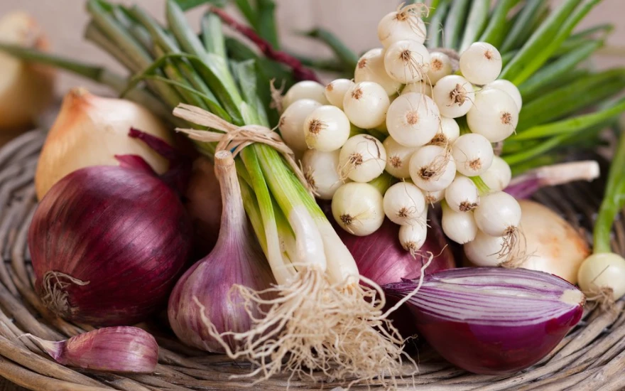 Saçlarınızı ektirmeden geri kazanın! Dökülmeyi durduruyor, güçlendiriyor!