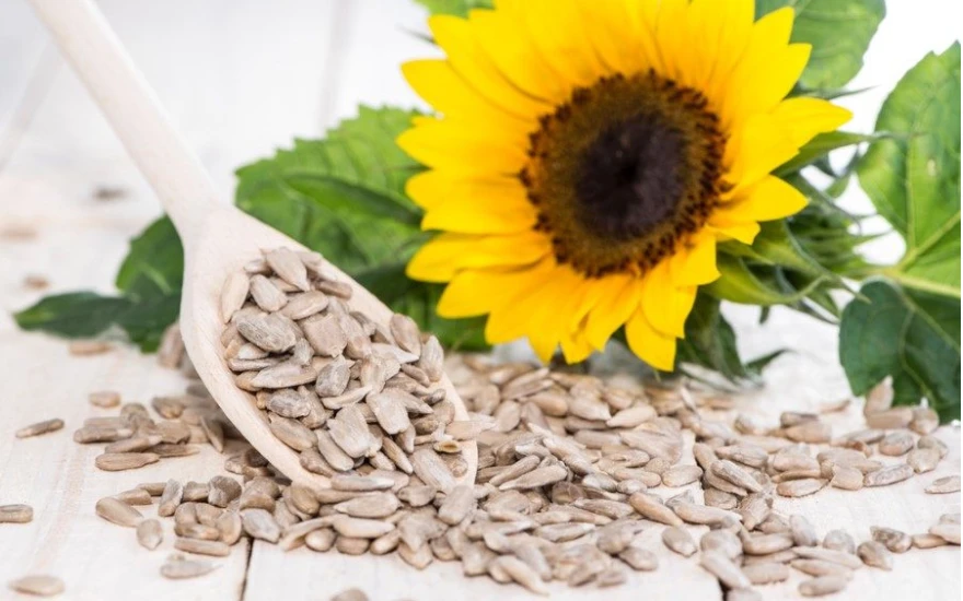 Saçlarınızı ektirmeden geri kazanın! Dökülmeyi durduruyor, güçlendiriyor!