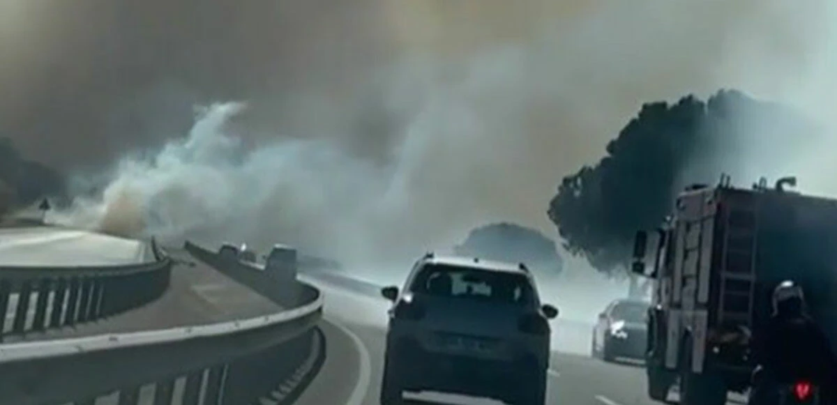 Son dakika: İzmir Bergama'da otluk alanda yangın çıktı