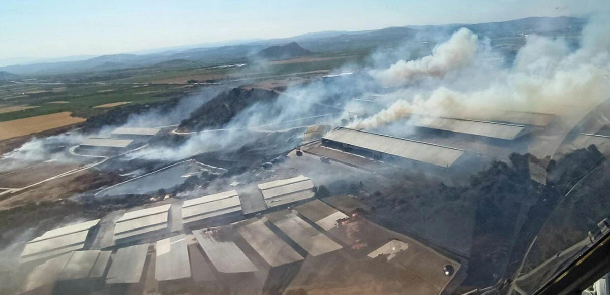 Son dakika: İzmir Bergama'da otluk alanda yangın çıktı