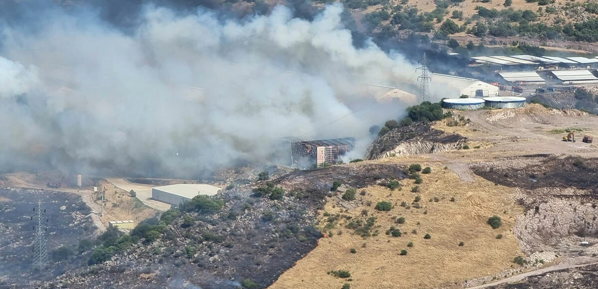 Son dakika: İzmir Bergama'da otluk alanda yangın çıktı