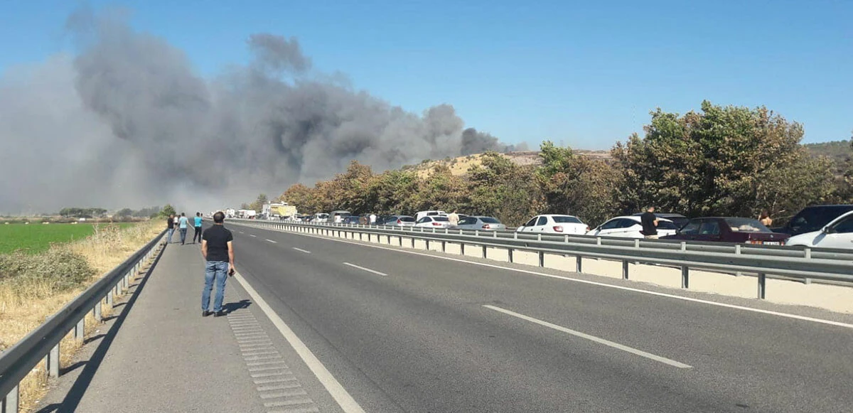Son dakika: İzmir Bergama'da otluk alanda yangın çıktı