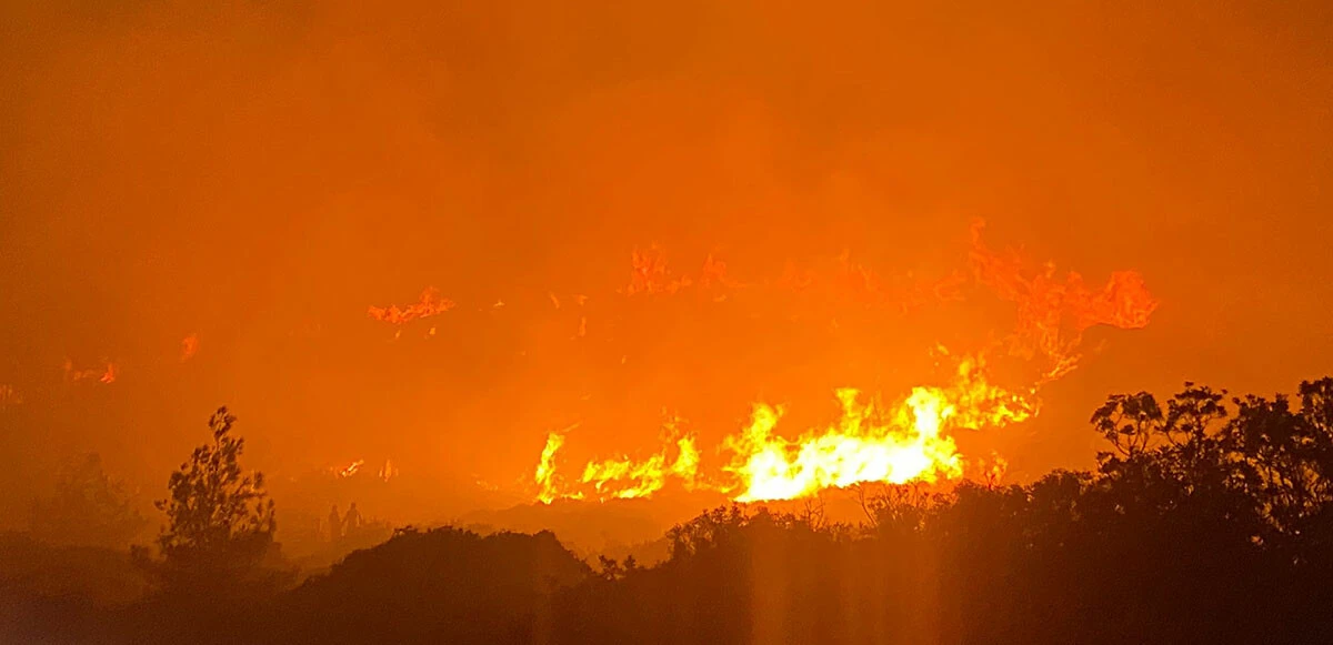 Son dakika haberi: Çeşme'de çıkan yangın kontrol altına alındı