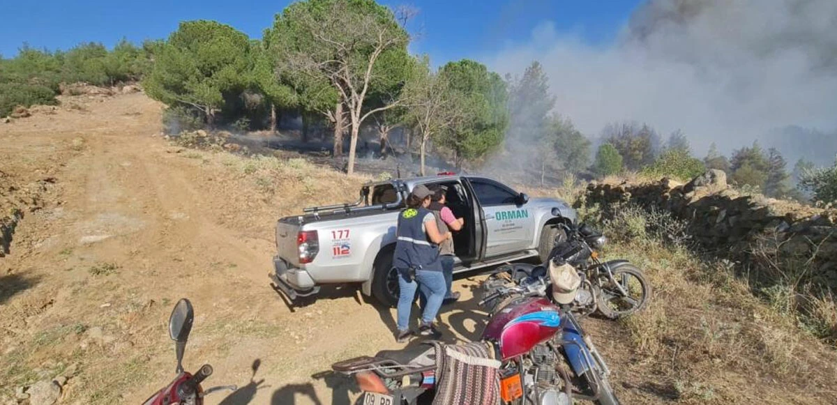 Aydın'daki orman yangını kısmen kontrol altına alındı