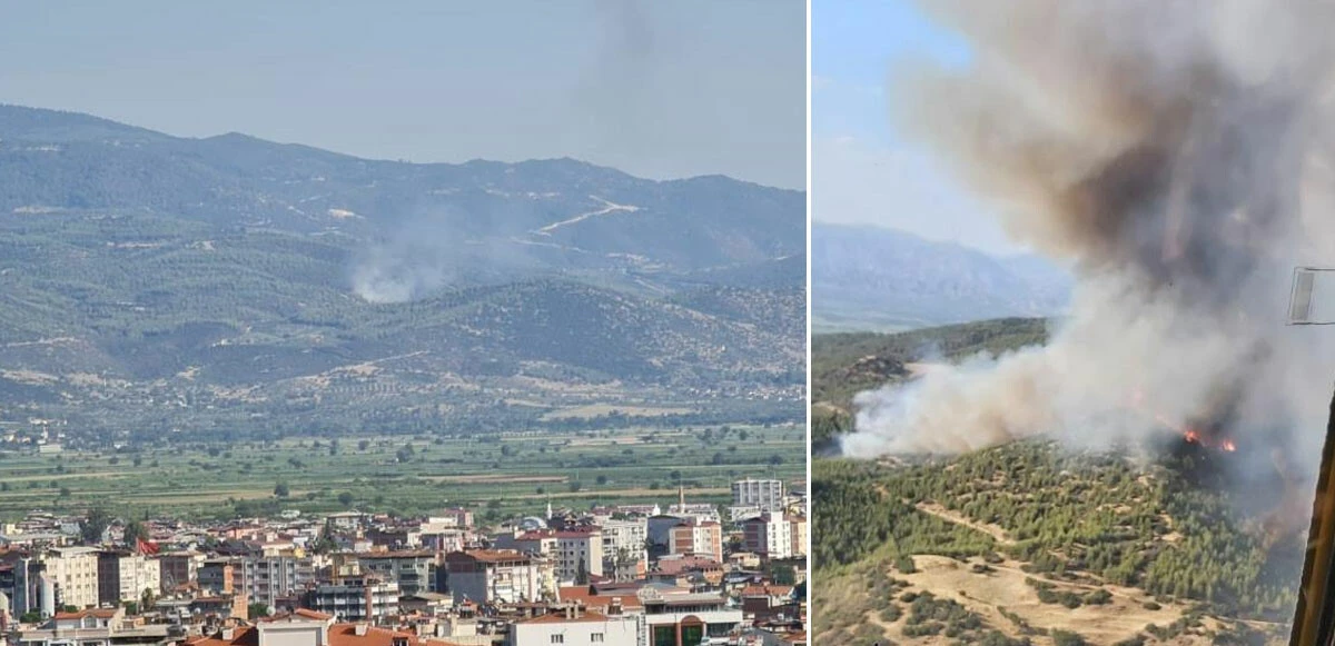 Aydın'daki <a href=