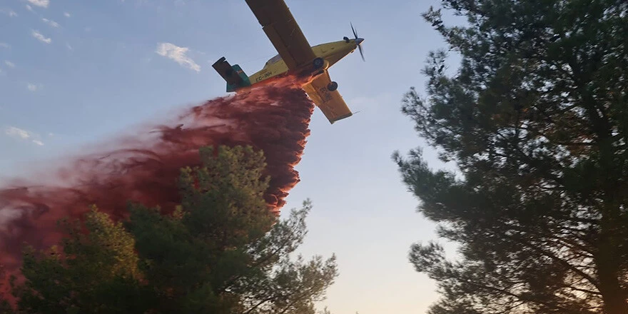 Aydın'daki orman yangını kısmen kontrol altına alındı