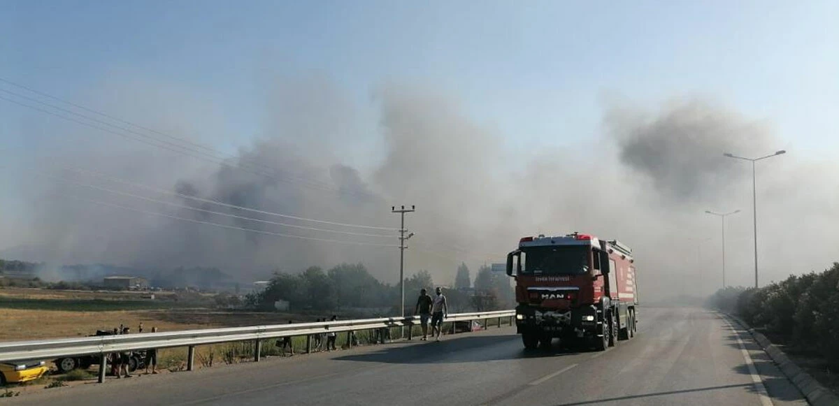 Son dakika! İzmir'deki orman yangını kontrol altına alındı