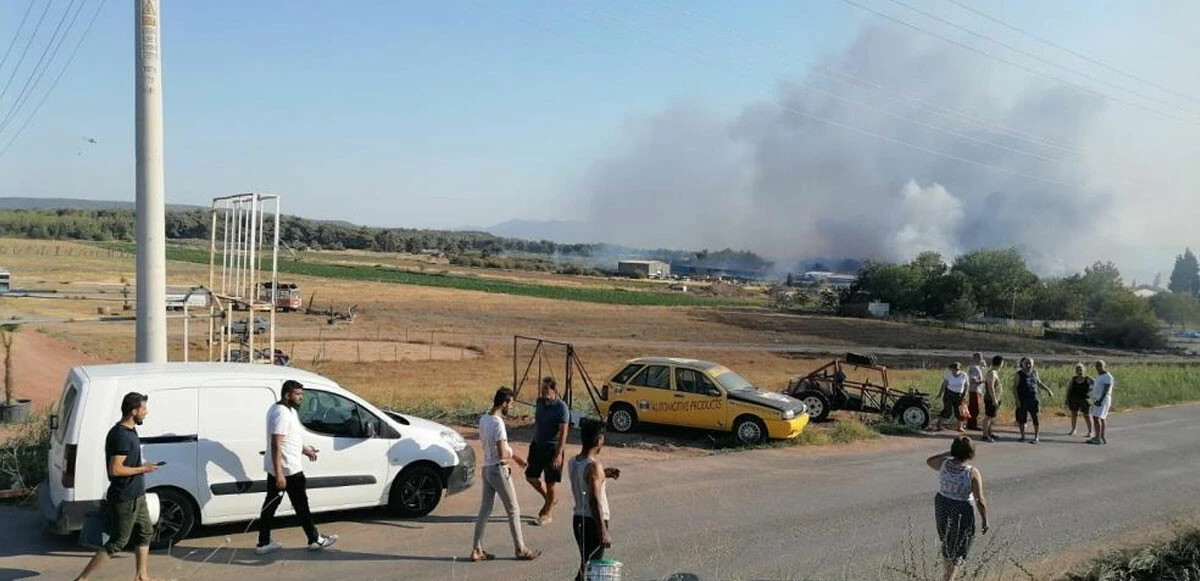 Son dakika! İzmir'deki orman yangını kontrol altına alındı
