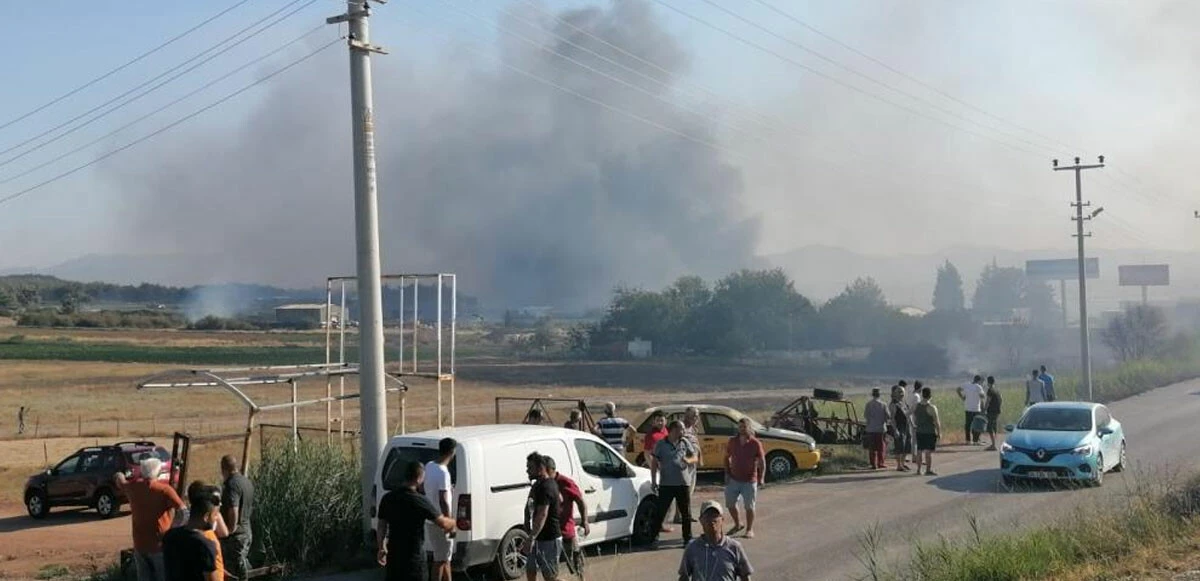 Son dakika! İzmir'deki orman yangını kontrol altına alındı