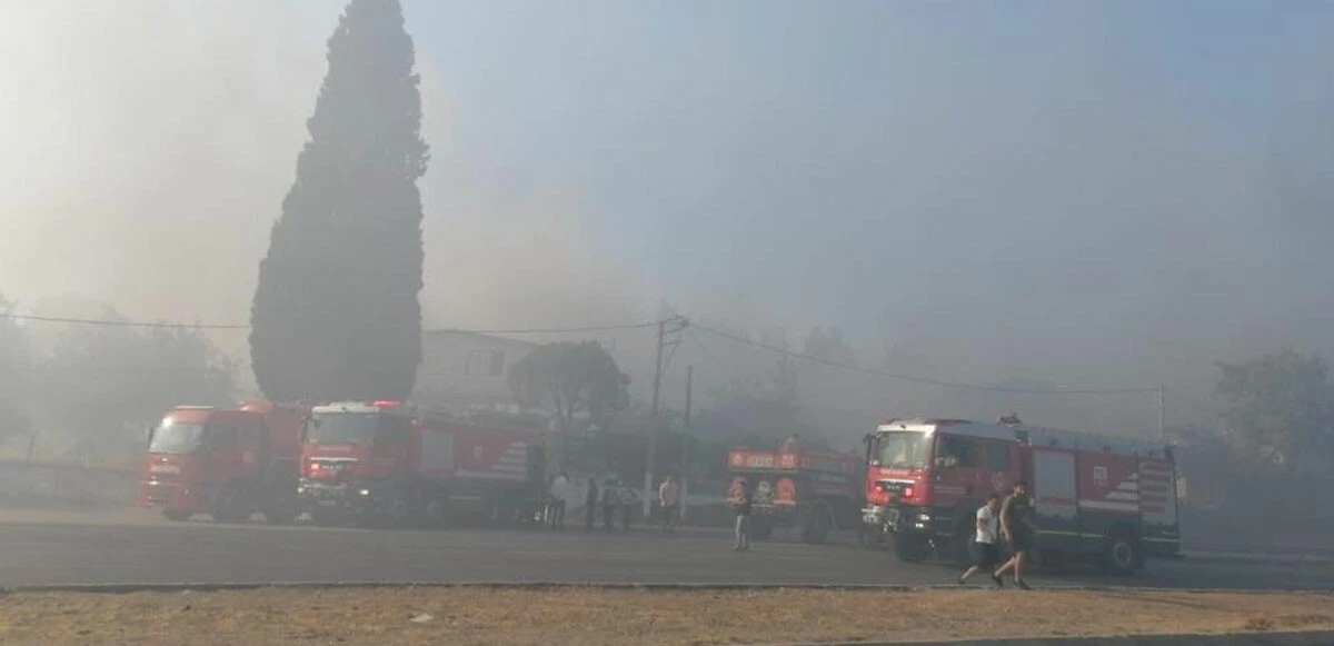 Son dakika! İzmir'deki orman yangını kontrol altına alındı