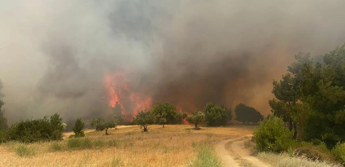 Manisa'da yangın: Tarlada çıktı ormana sıçradı, alevler 3 koldan hızla ilerliyor