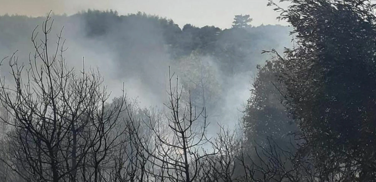 Muğla'daki orman yangını 2 saatte söndürüldü