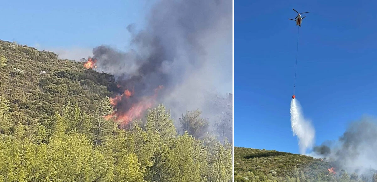 Muğla'daki orman yangını 2 saatte söndürüldü