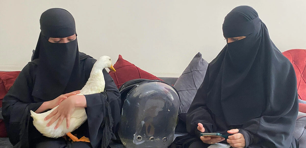 Bahçeşehir’deki ördeklerin sahibi konuştu: Bunlar bizim dememize rağmen fotoğrafımızı çektiler