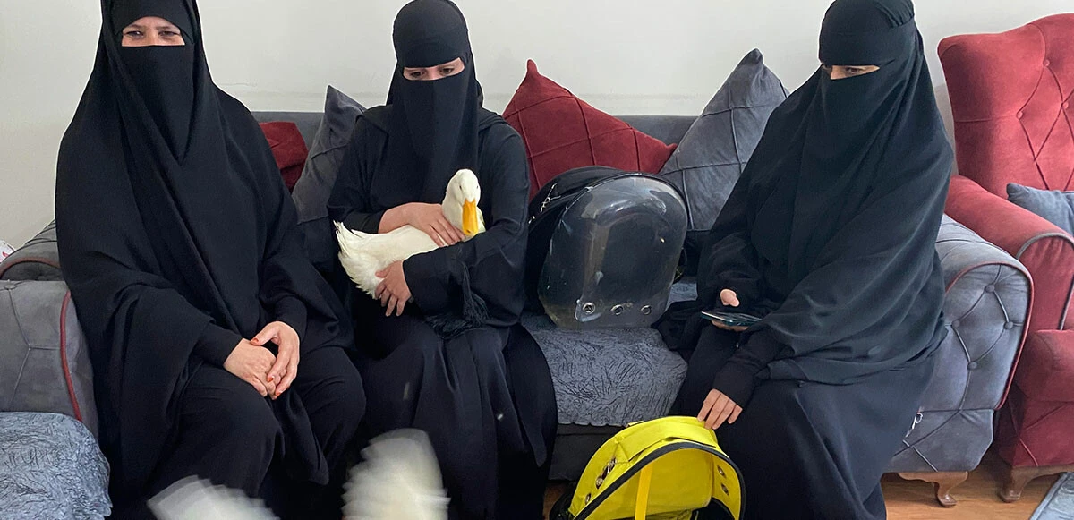 Bahçeşehir’deki ördeklerin sahibi konuştu: Bunlar bizim dememize rağmen fotoğrafımızı çektiler