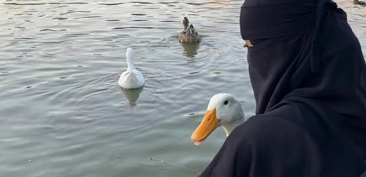 Bahçeşehir’deki ördeklerin sahibi konuştu: Bunlar bizim dememize rağmen fotoğrafımızı çektiler