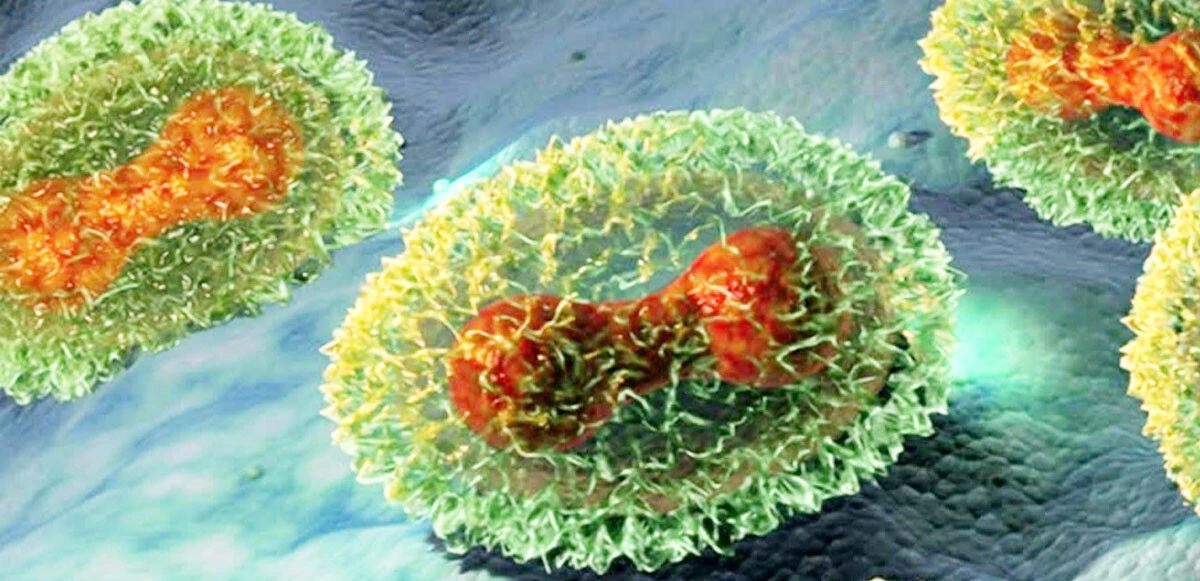 Ünlü Türk profesörden korkutan açıklama: 2 varyant Türkiye'de vakaları patlattı