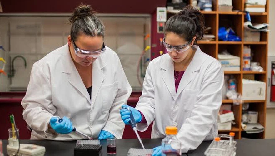 Kişilik Özelliklerine Göre Meslek Seçimi Nasıl Olmalı? Kendinizi Tanımadan Tercih Yapmayın!