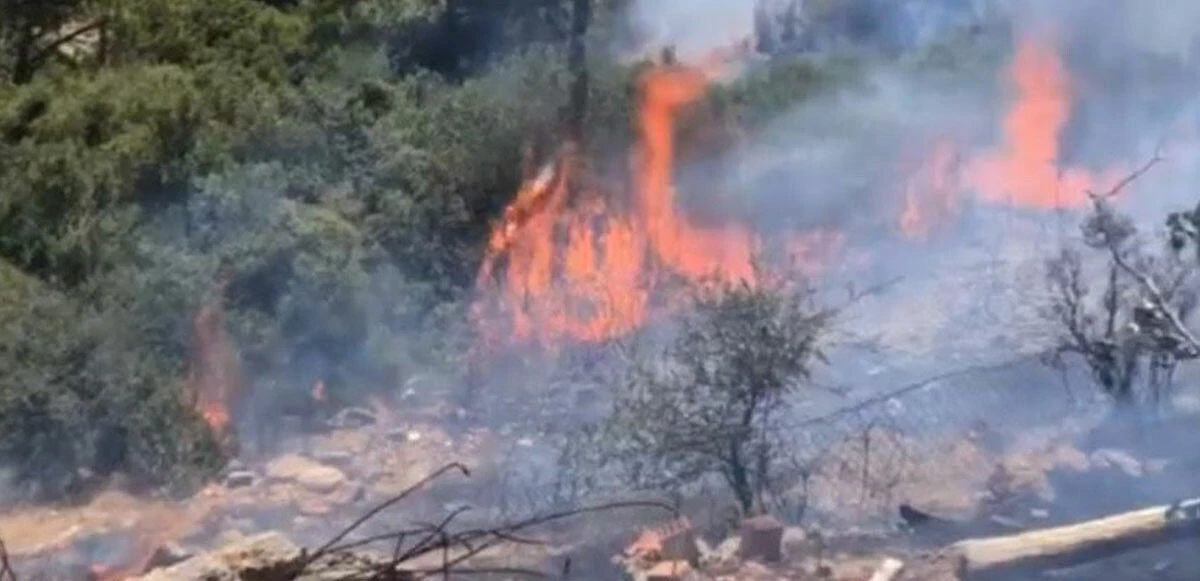 İzmir Seferihisar’da orman yangını! Havadan ve karadan müdahale sürüyor