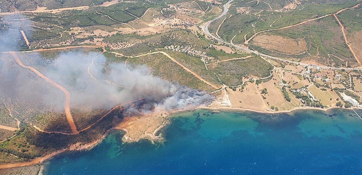 İzmir Seferihisar’da orman yangını! Havadan ve karadan müdahale sürüyor