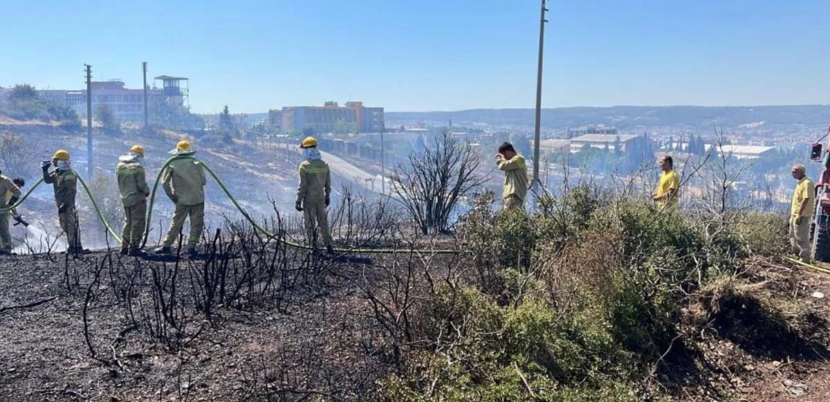 İzmir'de yangına jet müdahale: 6 dakikada kontrol altına alındı