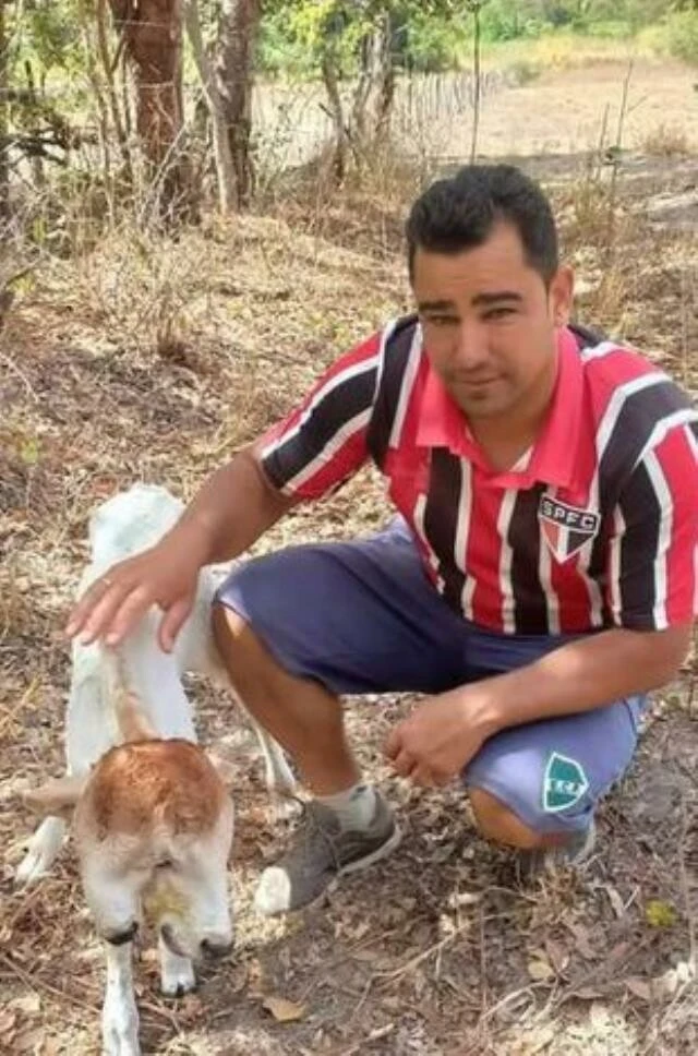 Çift başlı buzağı hem korkuttu hem şaşırttı! İnek yavrusunu herkesten gizledi