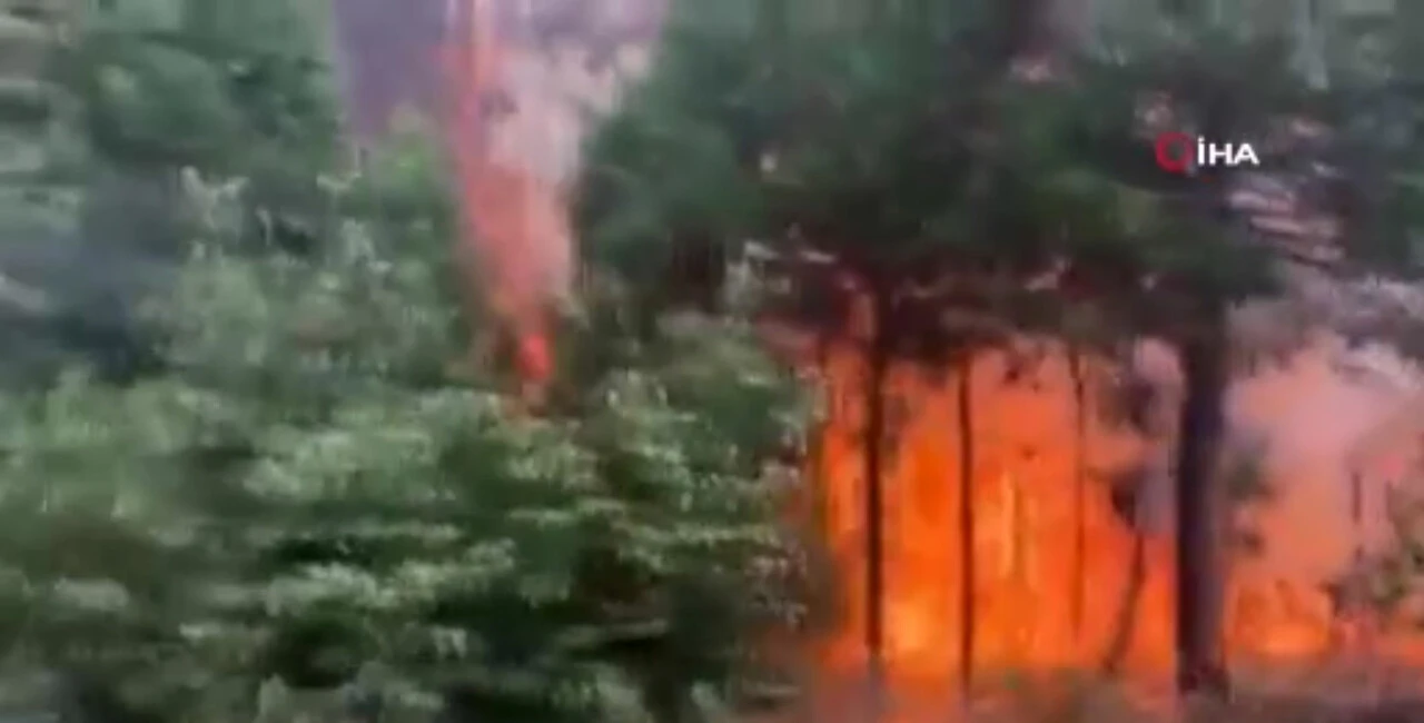 Kaliforniya'da acil durum ilan edildi! Yangınlar söndürülemiyor