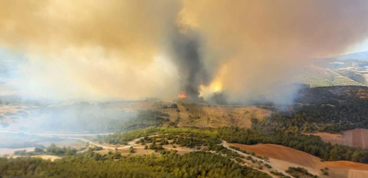 Manisa ve Kütahya'daki orman yangınları kontrol altında: İşte son durum...