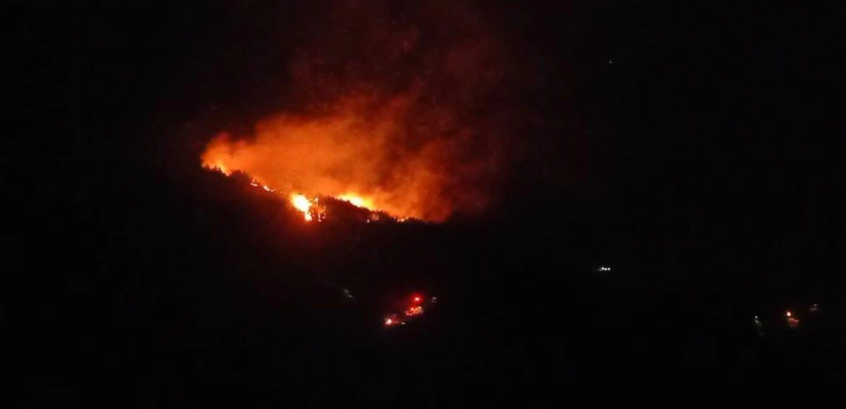 Adana’da kızılçam ormanlarında yangın çıktı