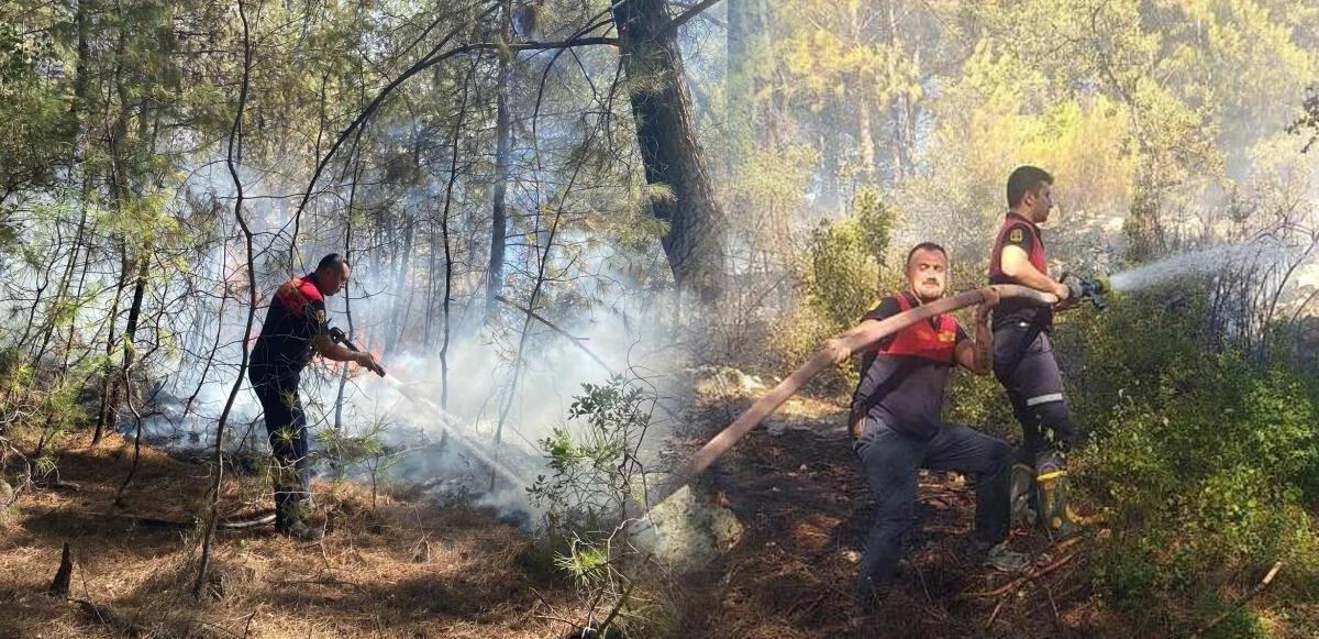 Son dakika! Milas'ta orman yangını: Ekipler seferber oldu, kontrol altına alındı