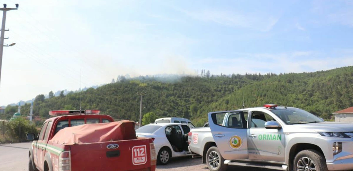 Son dakika! Sakarya'da orman yangını
