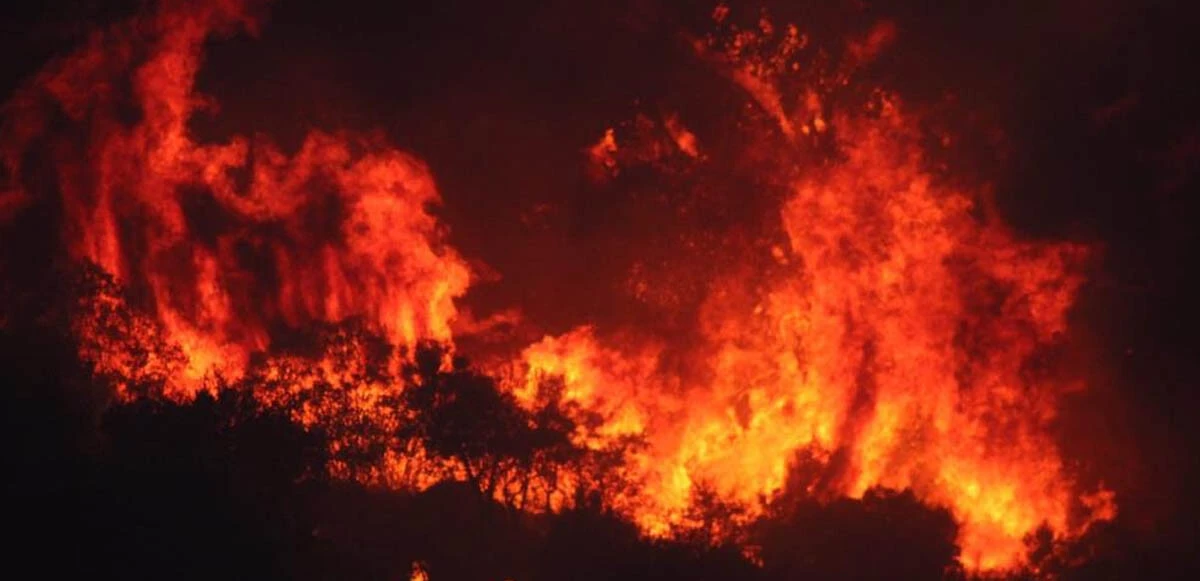 Son dakika! Aydın Söke’de orman yangını: Geçe görüşlü helikopterler devrede