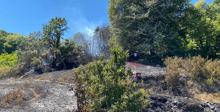 Son dakika: İstanbul Beykoz'da orman yangını! Ekiplerin müdahalesi ile kısa sürede söndürüldü
