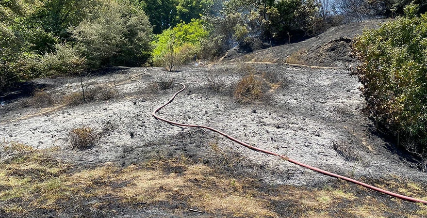 Son dakika: İstanbul Beykoz'da orman yangını! Ekiplerin müdahalesi ile kısa sürede söndürüldü