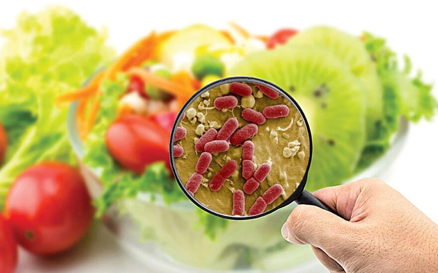 Sıcaklarda gıda zehirlenmesine dikkat: Yemeden önce bir kez daha düşünün, önlem alınmazsa ölümle sonuçlanıyor!