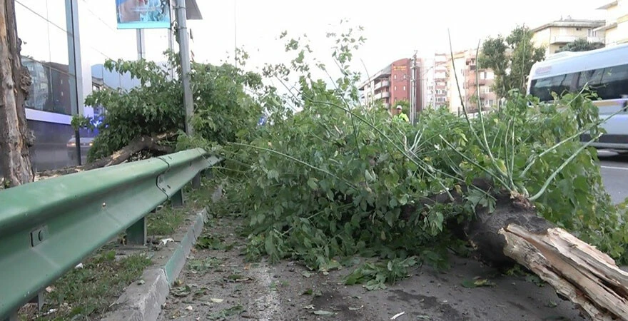 Ağaçları yerinden söken kamyon yan yattı