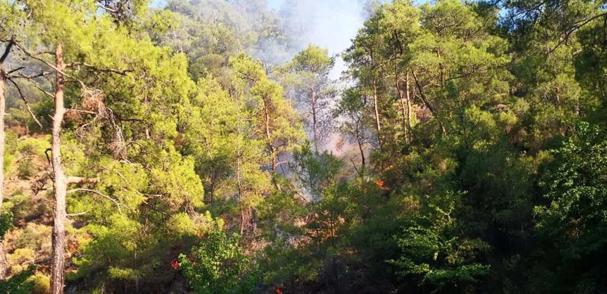 orman yangını Son dakika! Marmaris’teki <a href=