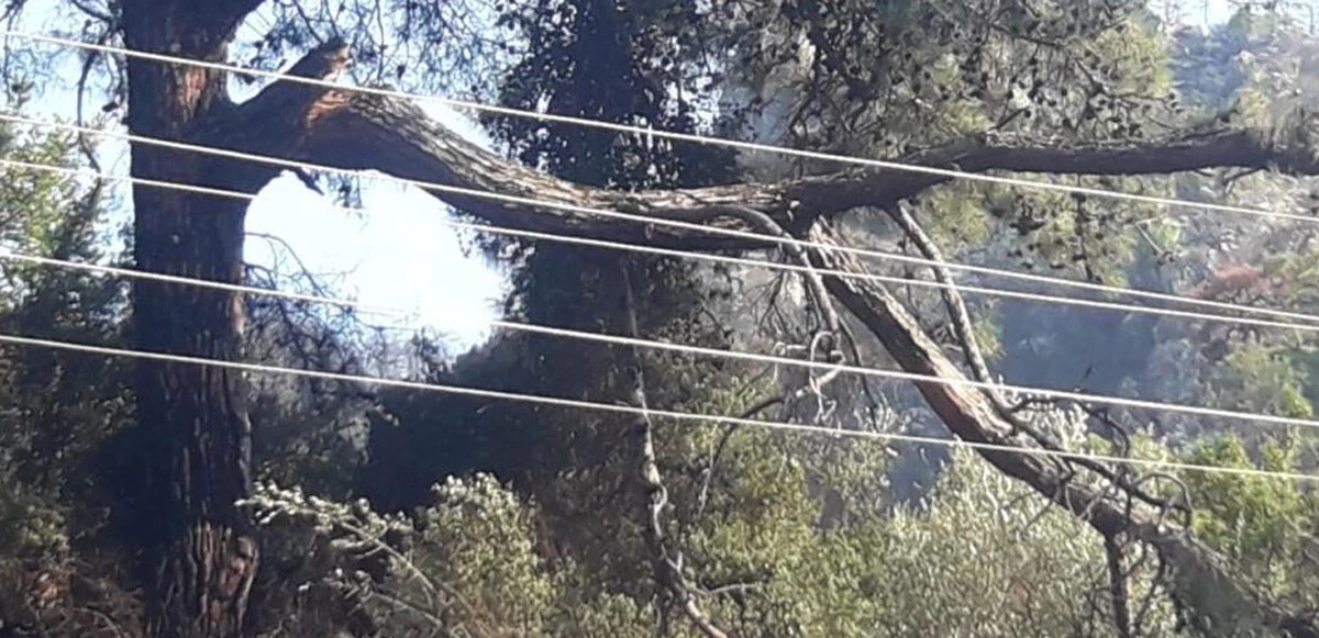 Son dakika! Marmaris’ten sevindiren haber geldi: Orman yangını kontrol altına alındı, işte son durum...