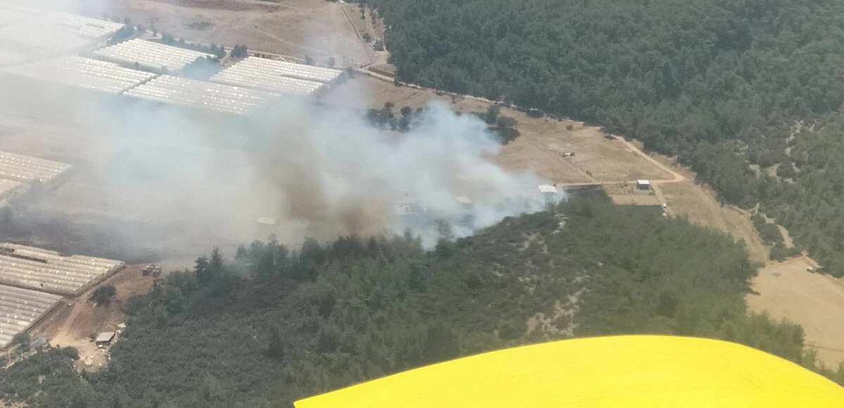 Ciğerlerimiz yanıyor! 3 ilde orman yangını