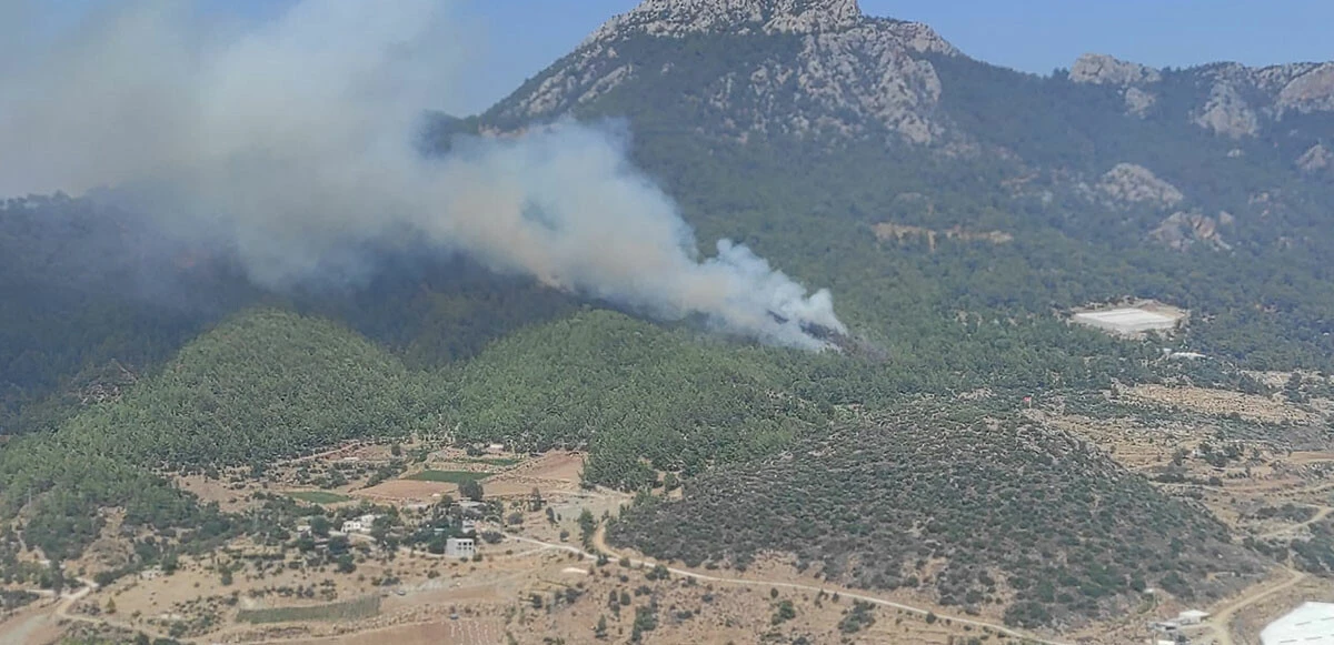 Ciğerlerimiz yanıyor! 3 ilde orman yangını