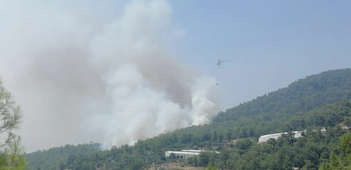 Ciğerlerimiz yanıyor! 3 ilde orman yangını