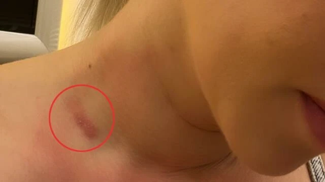 TikTok uğruna Ece Seçkin'e sahnede telefon fırlatıldı! Sosyal medyadan isyan etti