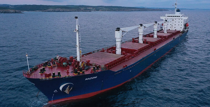 Dünyanın gözü İstanbul'da! Denetim bitti, tahıl yüklü ilk gemi Boğaz'ı geçti