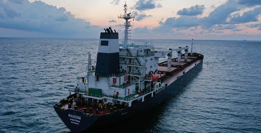 Dünyanın gözü İstanbul'da! Denetim bitti, tahıl yüklü ilk gemi Boğaz'ı geçti